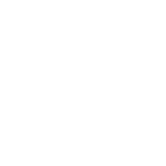 BMW Group