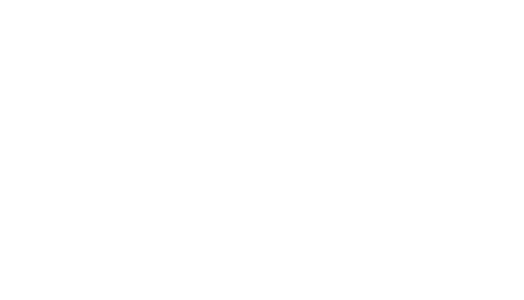 Racing Planet